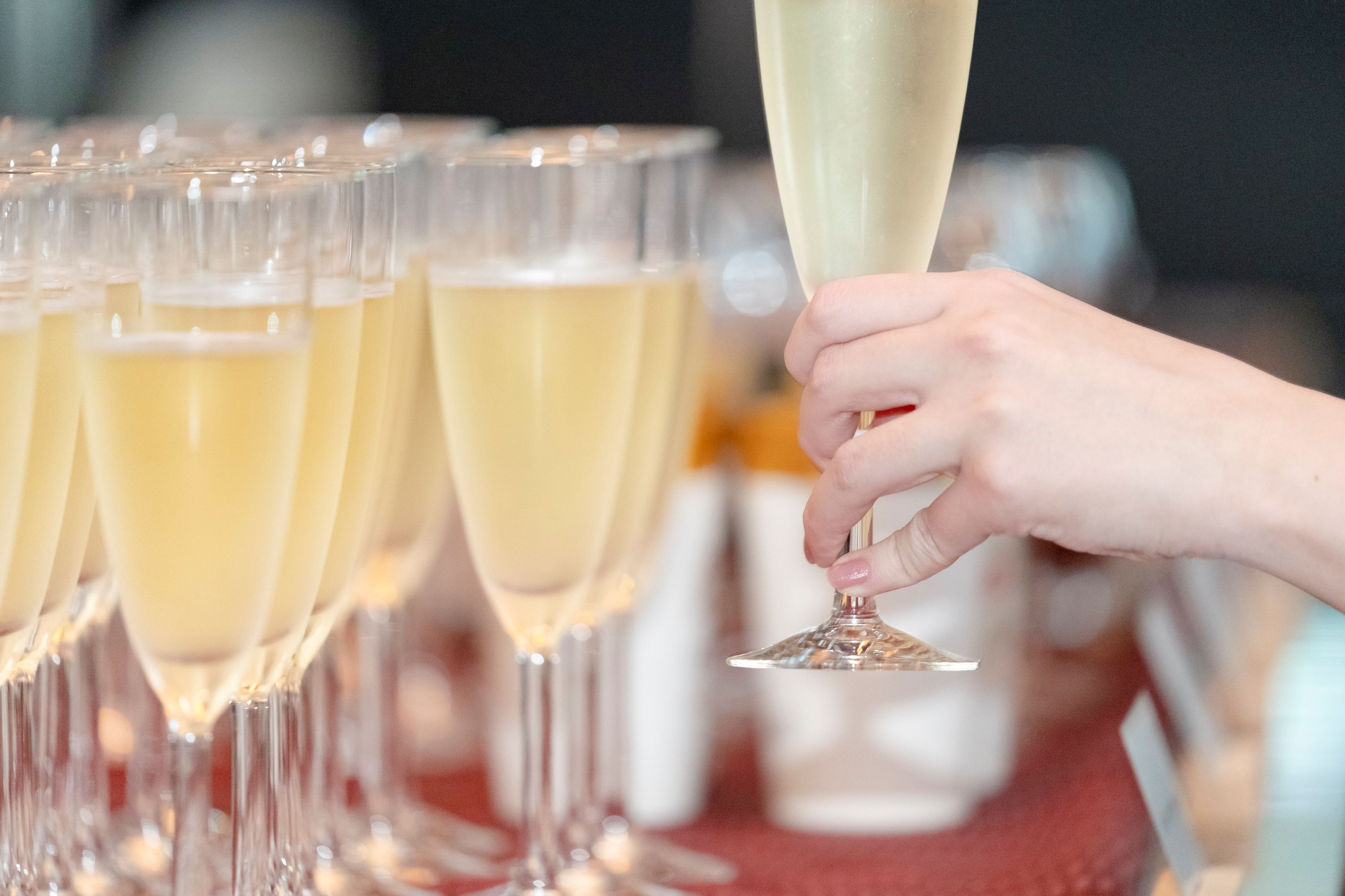 画像の説明 画像の説明